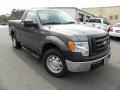 Sterling Grey Metallic - F150 XL Regular Cab Photo No. 1