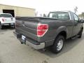 Sterling Grey Metallic - F150 XL Regular Cab Photo No. 9