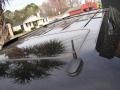 Black Raven - Escalade ESV AWD Photo No. 43