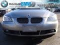 Silver Grey Metallic - 5 Series 530xi Sedan Photo No. 2
