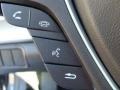Taupe Controls Photo for 2009 Acura TL #46373112