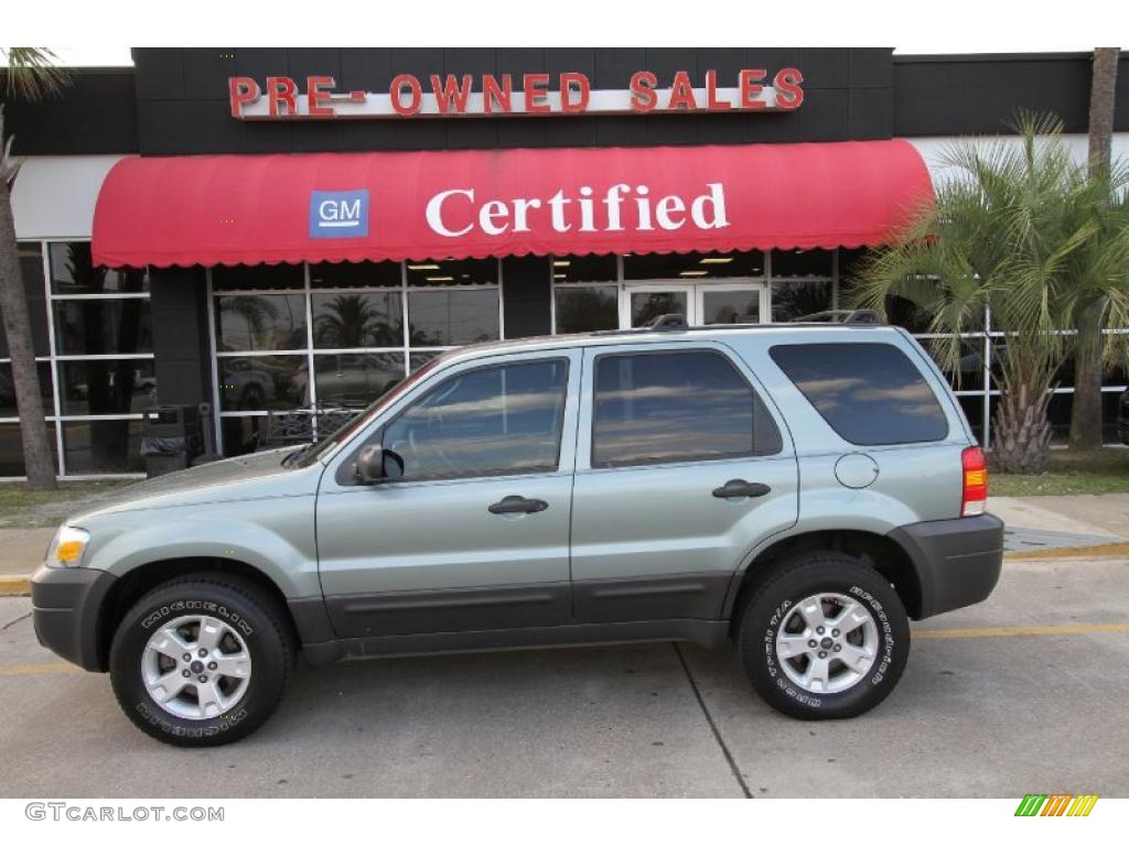 2006 Escape XLT V6 4WD - Titanium Green Metallic / Medium/Dark Flint photo #1