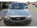 2006 Titanium Green Metallic Ford Escape XLT V6 4WD  photo #3