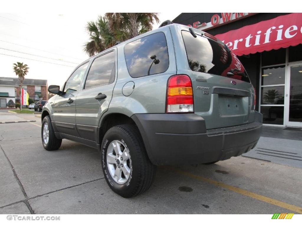 2006 Escape XLT V6 4WD - Titanium Green Metallic / Medium/Dark Flint photo #6