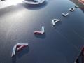 Magnetic Gray Metallic - Avalon Limited Photo No. 50