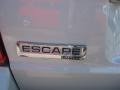 2009 Light Sage Metallic Ford Escape Limited V6 4WD  photo #20
