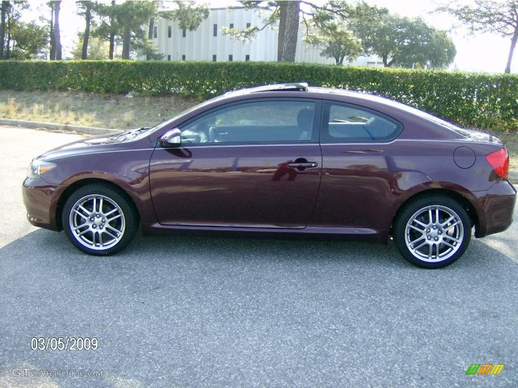 2005 tC  - Black Cherry Pearl / Dark Gray photo #1