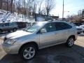 Millennium Silver Metallic - RX 350 AWD Photo No. 1