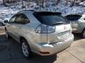 Millennium Silver Metallic - RX 350 AWD Photo No. 2