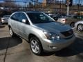 Millennium Silver Metallic - RX 350 AWD Photo No. 5