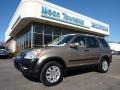 Sahara Sand Metallic - CR-V EX 4WD Photo No. 1