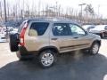 Sahara Sand Metallic - CR-V EX 4WD Photo No. 4