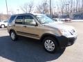 Sahara Sand Metallic - CR-V EX 4WD Photo No. 5