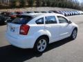 Stone White - Caliber SXT Photo No. 4