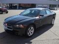 Brilliant Black Crystal Pearl 2011 Dodge Charger R/T Plus Exterior