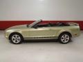 2006 Legend Lime Metallic Ford Mustang V6 Premium Convertible  photo #7