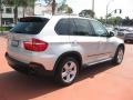 Titanium Silver Metallic - X5 3.0si Photo No. 5