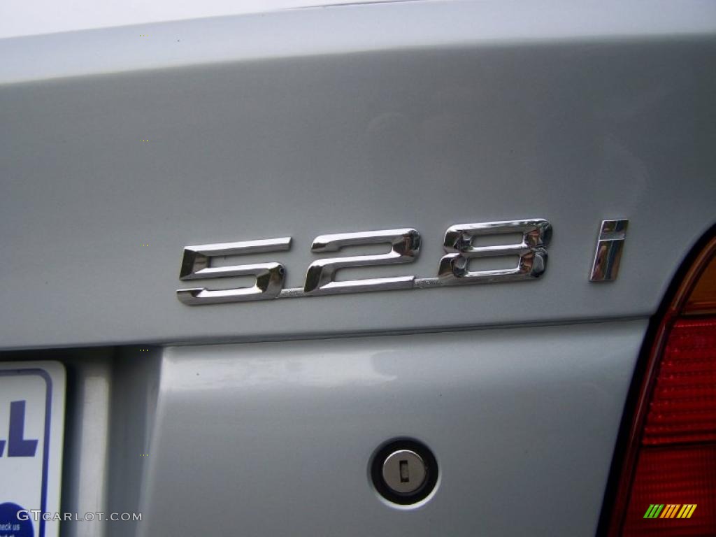 1997 5 Series 528i Sedan - Arctic Silver Metallic / Gray photo #41