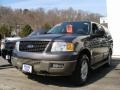 2003 Dark Shadow Grey Metallic Ford Expedition XLT 4x4  photo #1