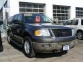 2003 Dark Shadow Grey Metallic Ford Expedition XLT 4x4  photo #3