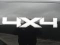 2011 Tuxedo Black Metallic Ford F150 Texas Edition SuperCrew 4x4  photo #17