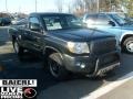 Black Sand Pearl 2005 Toyota Tacoma Regular Cab