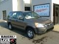 2004 Mojave Mist Metallic Honda CR-V LX 4WD  photo #1