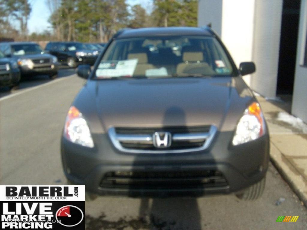2004 CR-V LX 4WD - Mojave Mist Metallic / Saddle photo #2