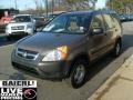 2004 Mojave Mist Metallic Honda CR-V LX 4WD  photo #3