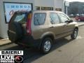 2004 Mojave Mist Metallic Honda CR-V LX 4WD  photo #6