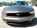 2010 Sterling Grey Metallic Ford Mustang V6 Premium Coupe  photo #15