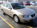 2008 Golden Beige Hyundai Sonata GLS V6  photo #13