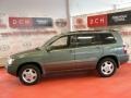 Oasis Green Pearl - Highlander Limited 4WD Photo No. 4