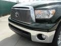 2011 Spruce Green Mica Toyota Tundra Texas Edition Double Cab  photo #10