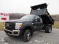 Forest Green Metallic 2011 Ford F550 Super Duty XL Regular Cab 4x4 Dump Truck Exterior