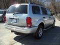 2004 Brilliant Silver Metallic Dodge Durango Limited 4x4  photo #30