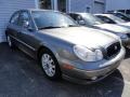 2004 Slate Gray Hyundai Sonata V6  photo #5