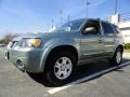 2006 Titanium Green Metallic Ford Escape Limited 4WD  photo #3