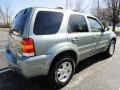 Titanium Green Metallic 2006 Ford Escape Limited 4WD Exterior