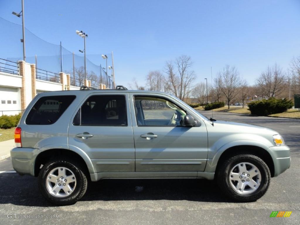Titanium Green Metallic 2006 Ford Escape Limited 4WD Exterior Photo #46431651