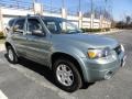 Titanium Green Metallic 2006 Ford Escape Limited 4WD Exterior