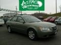 Natural Khaki - Sonata GLS Photo No. 1