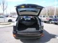 Black Onyx - RX 350 AWD Photo No. 11