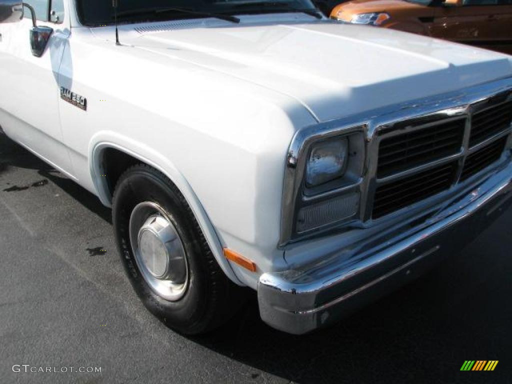 1993 Ram Truck D250 Regular Cab - White / Gray photo #2