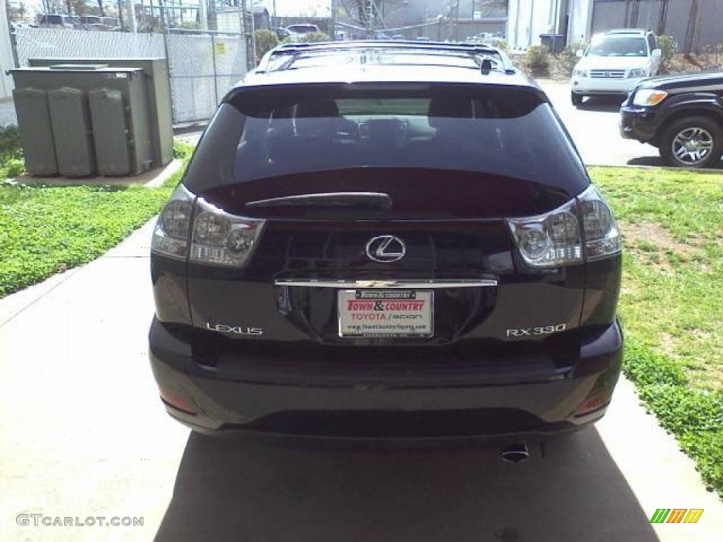 2004 RX 330 - Black Onyx / Light Gray photo #4