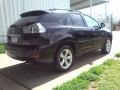 2004 Black Onyx Lexus RX 330  photo #17