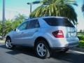 2008 Alpine Rain Metallic Mercedes-Benz ML 350 4Matic  photo #8