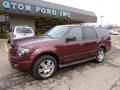 2009 Royal Red Metallic Ford Expedition Limited 4x4  photo #8