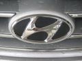 Liquid Silver - Elantra GLS Photo No. 23