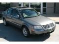 Stonehenge Grey Metallic - Passat GLS 4Motion Sedan Photo No. 13